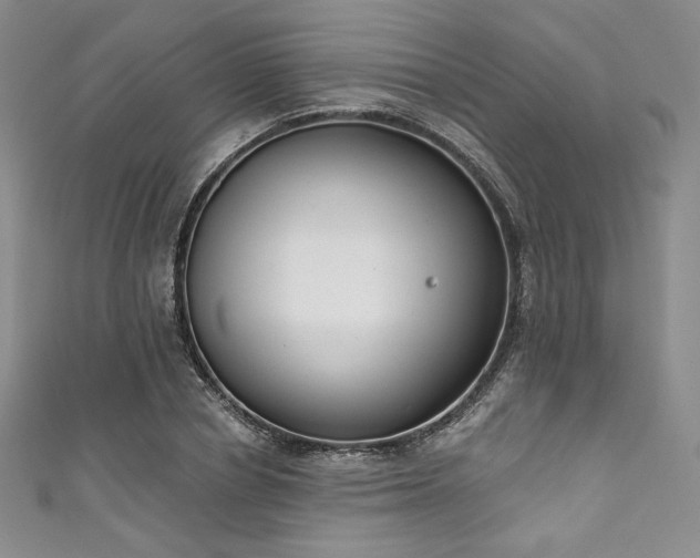 X0000111890834200907231554