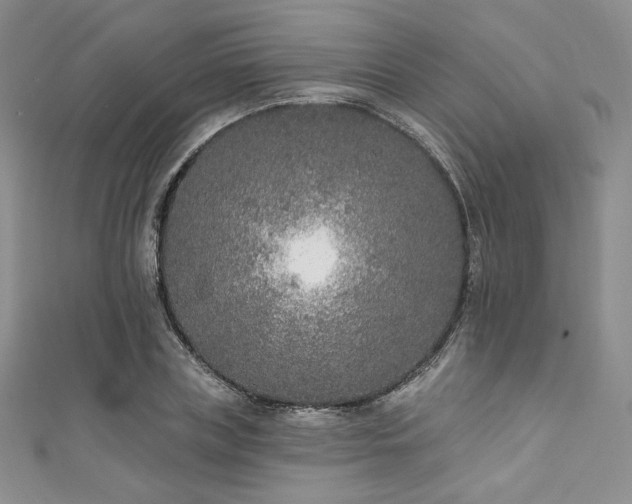 X0000111890835200907231554