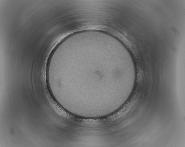 X0000111890836200907231554