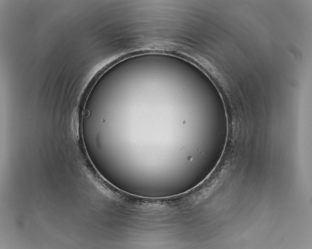X0000111890838200907231554