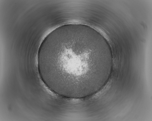 X0000111890839200907231554