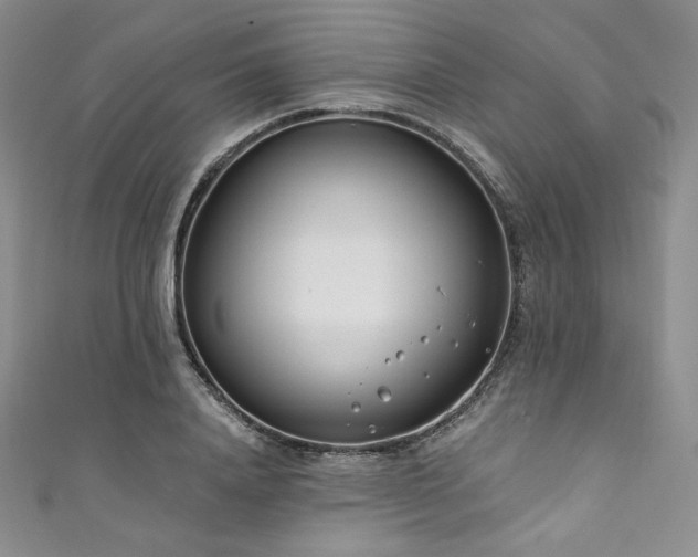 X0000111890840200907231554