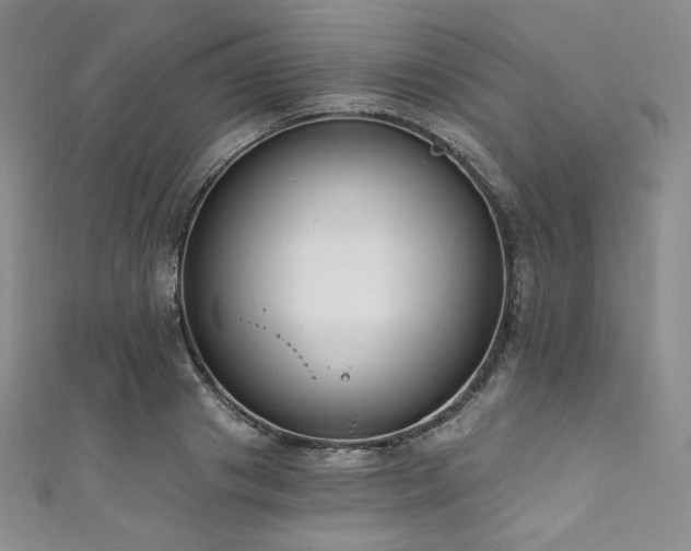 X0000111890841200907231554