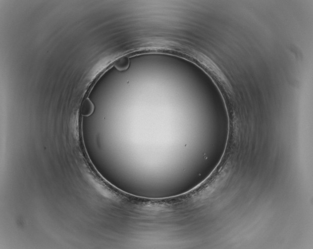 X0000111890842200907231554