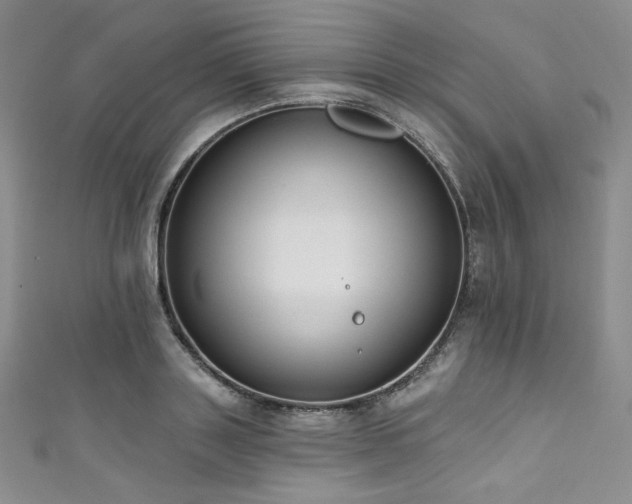 X0000111890843200907231554