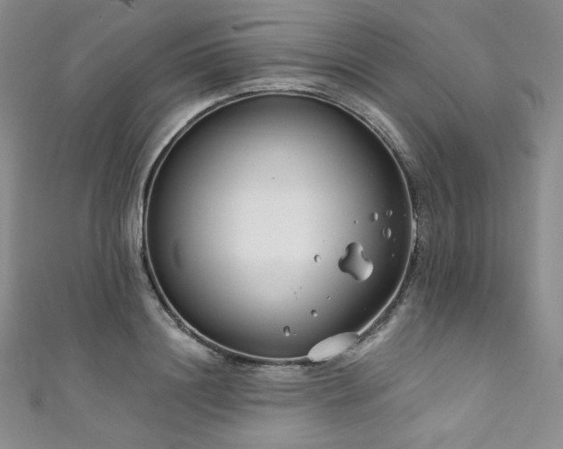 X0000111890844200907231554