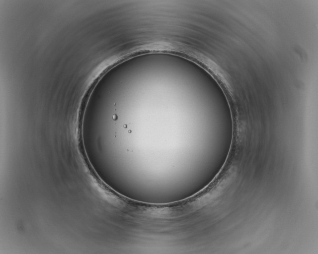X0000111890845200907231554
