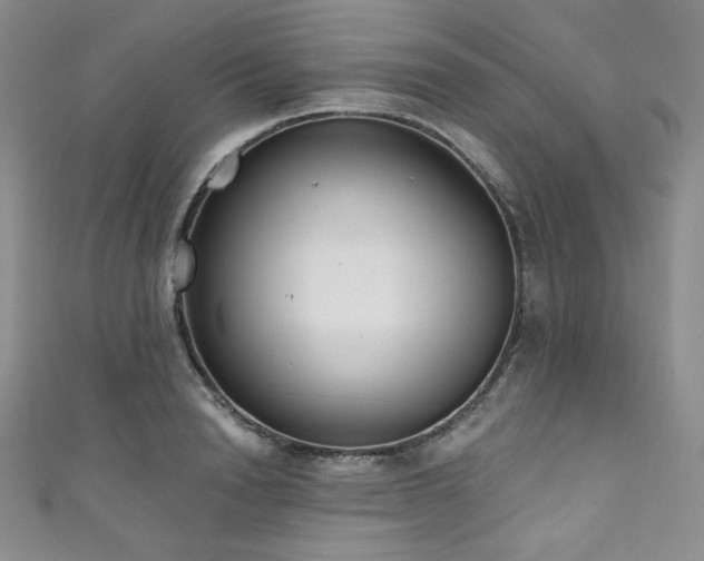 X0000111890846200907231554