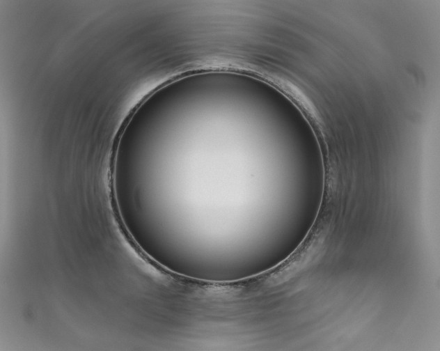 X0000111890847200907231554