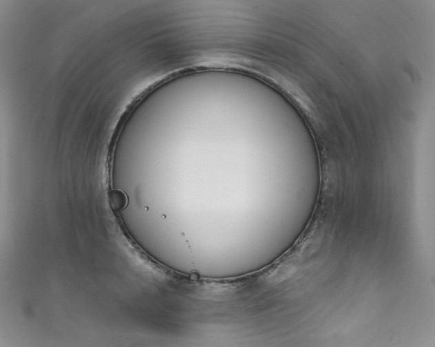 X0000111890848200907231554