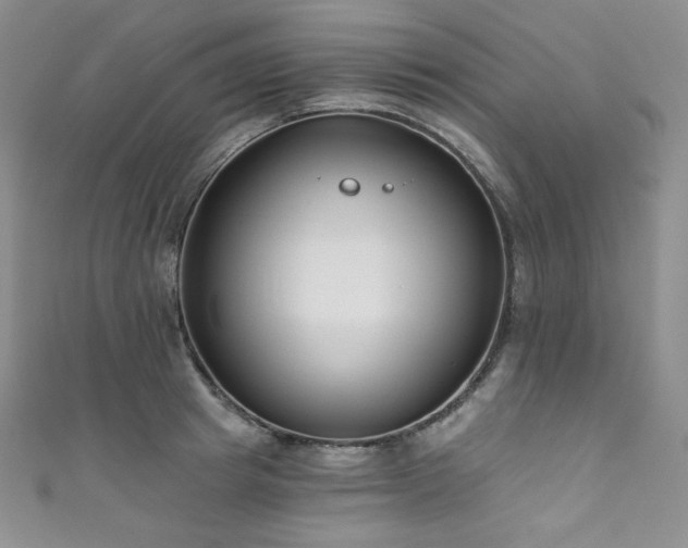 X0000111890849200907231554
