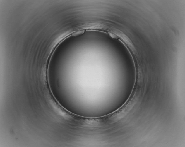X0000111890850200907231555