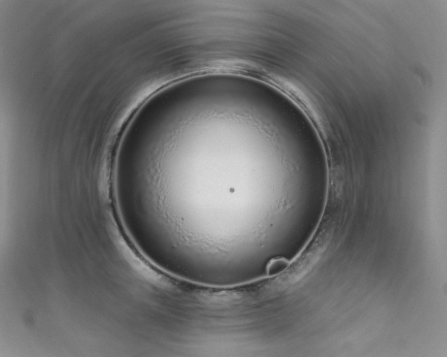 X0000111890851200907231555