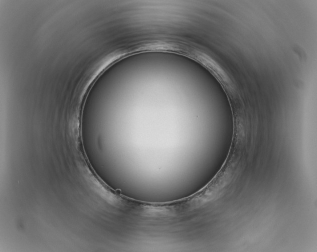 X0000111890852200907231555