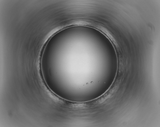 X0000111890853200907231555