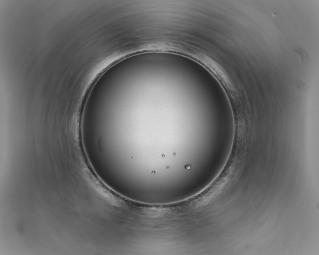 X0000111890854200907231555