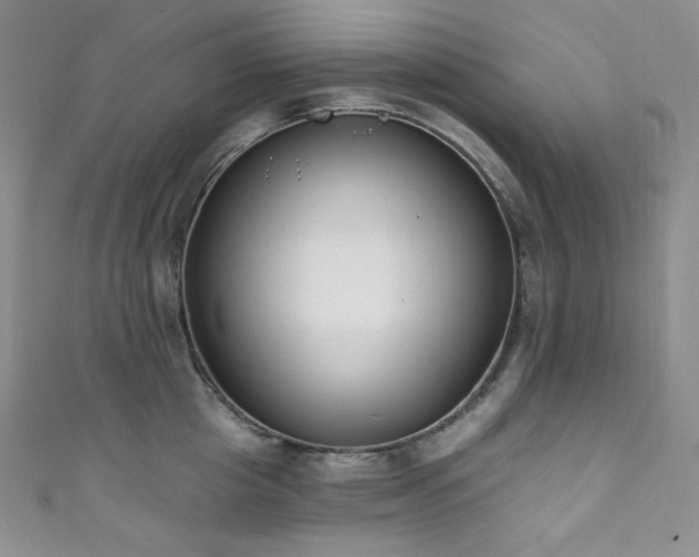 X0000111890857200907231555