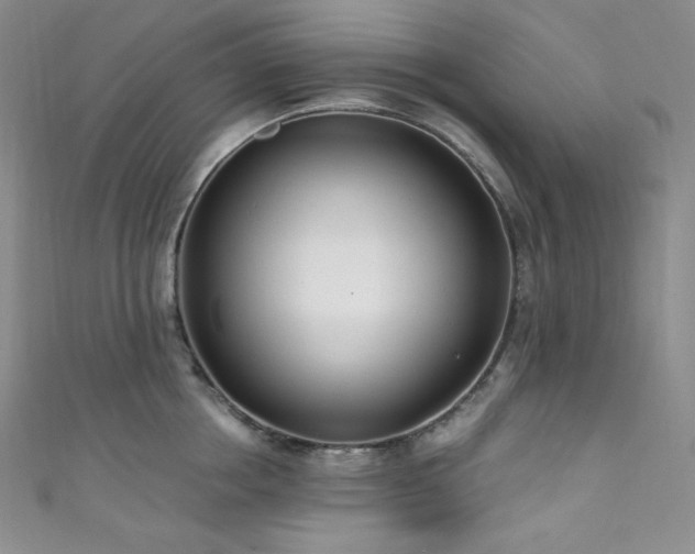 X0000111890858200907231555