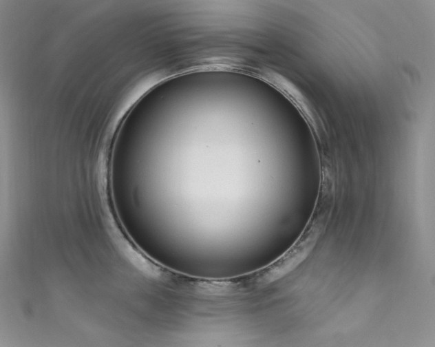 X0000111890859200907231555