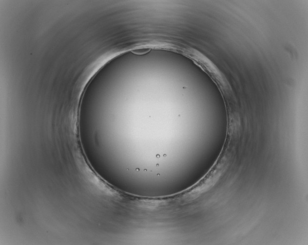 X0000111890860200907231555