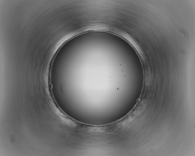 X0000111890861200907231555