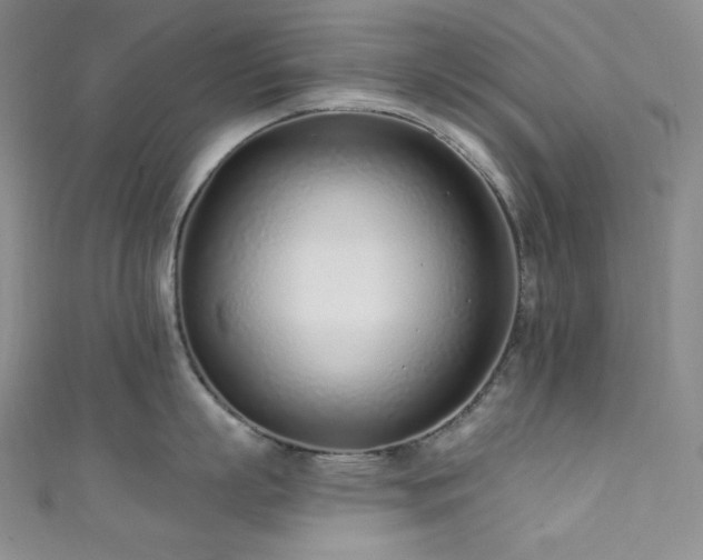 X0000111890863200907231555
