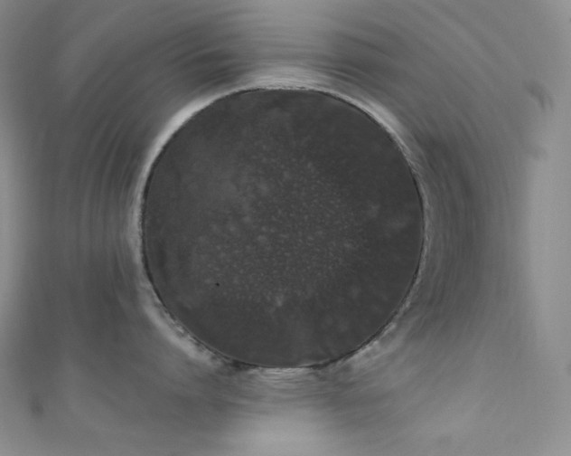 X0000111890864200907231555