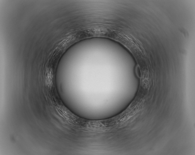 X0000111890866200907231554
