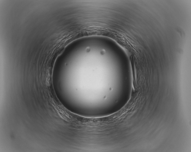 X0000111890868200907231554