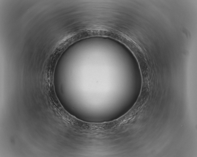 X0000111890870200907231554