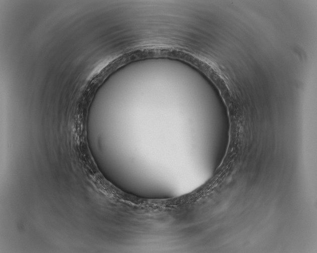 X0000111890871200907231554