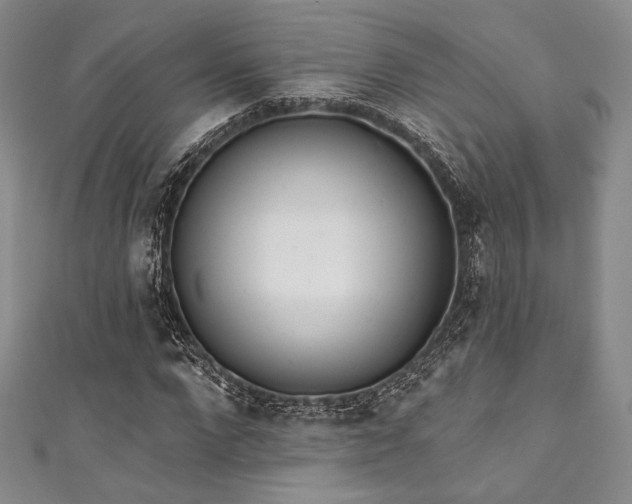 X0000111890872200907231554