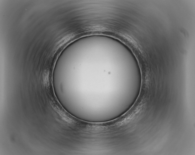 X0000111890873200907231554