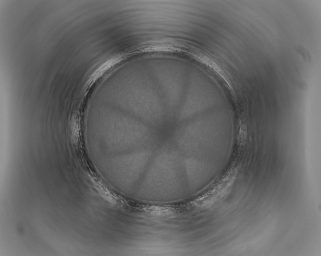 X0000111890874200907231554