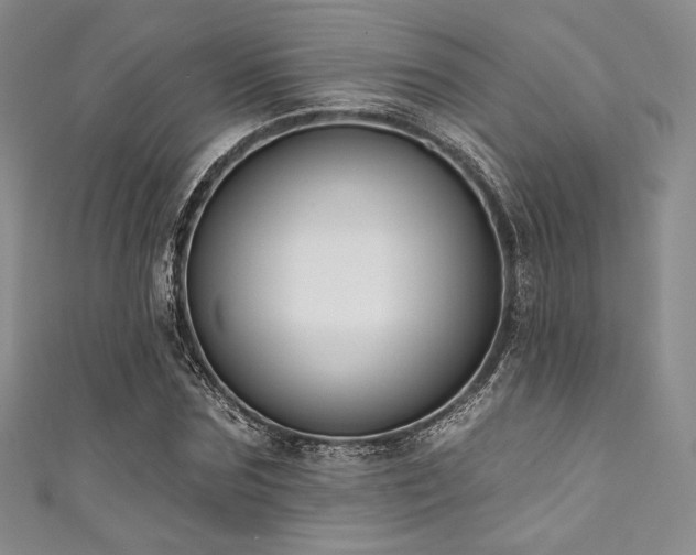 X0000111890875200907231554