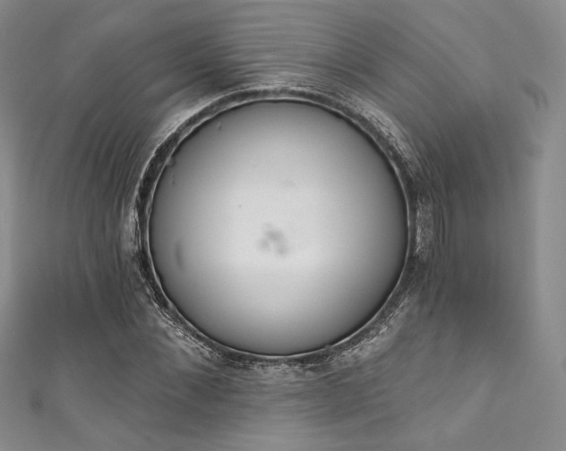 X0000111890876200907231554