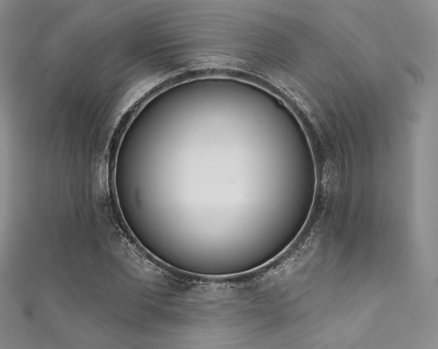 X0000111890877200907231554