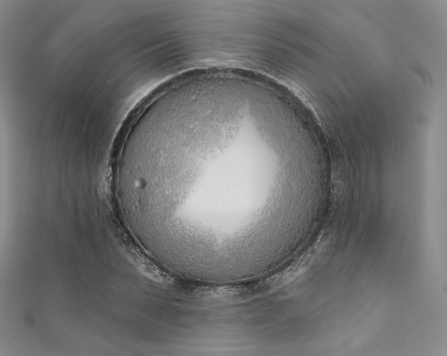 X0000111890879200907231554
