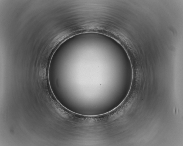 X0000111890881200907231554