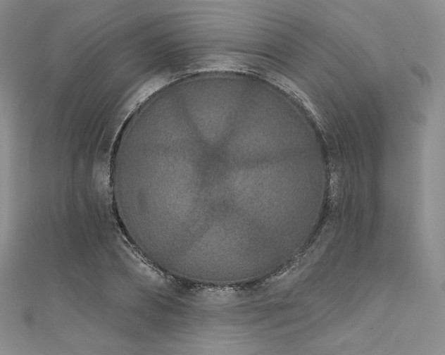 X0000111890882200907231554