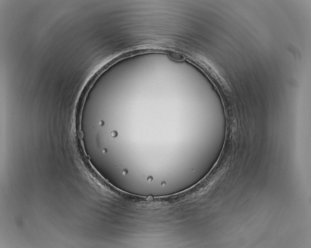 X0000111890884200907231554
