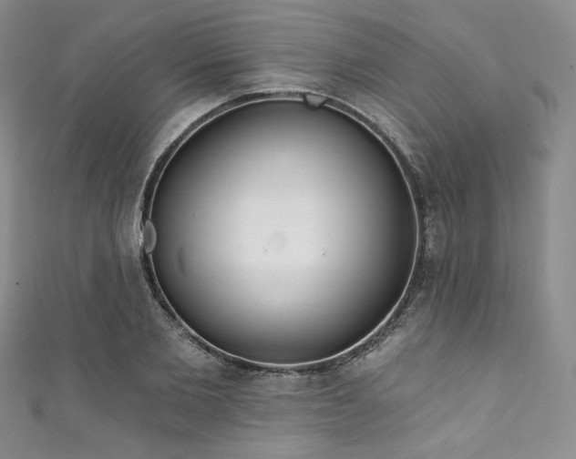 X0000111890885200907231554