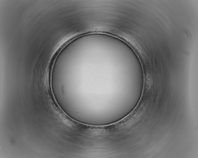X0000111890886200907231554