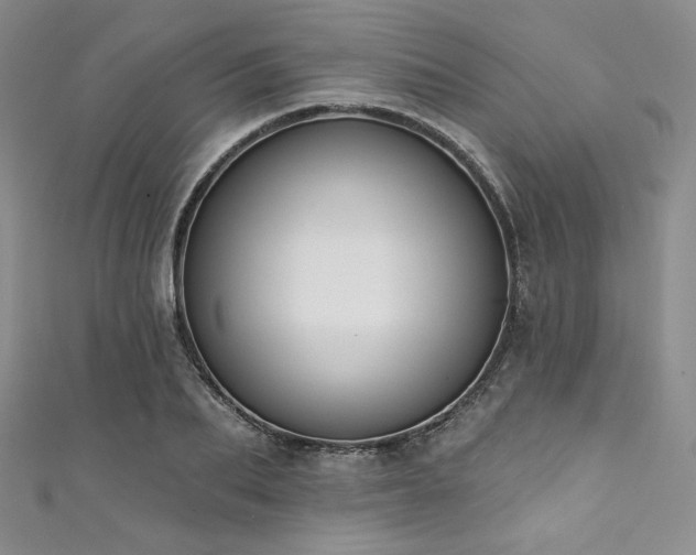 X0000111890887200907231554