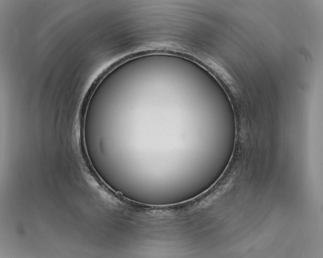 X0000111890888200907231554