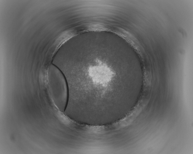 X0000111890889200907231554