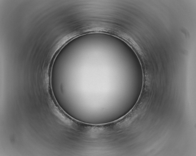 X0000111890890200907231554