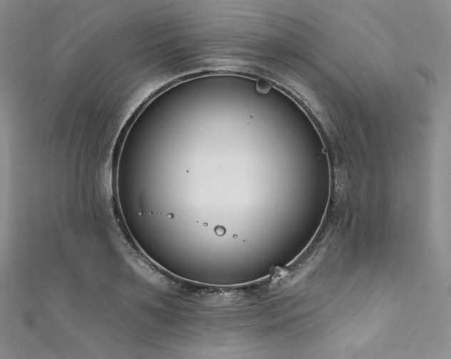 X0000111890891200907231554