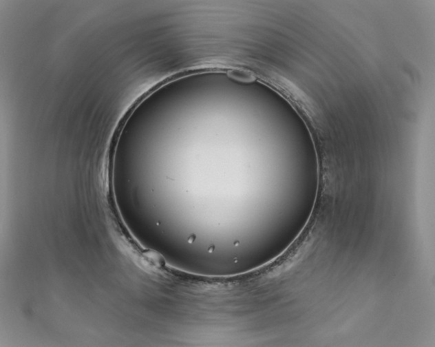 X0000111890892200907231554