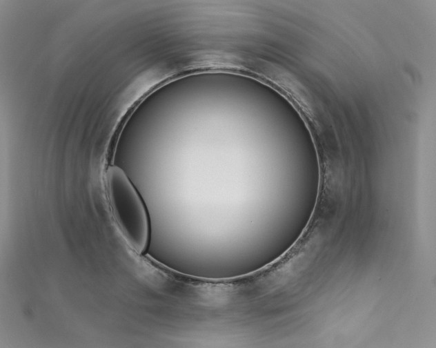X0000111890893200907231554